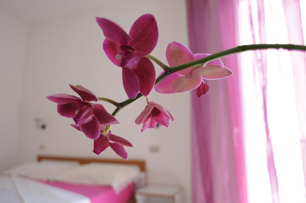 מיסאנו אדריאטיקו Solemare Hotel E Residence מראה חיצוני תמונה